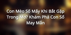 Con Mèo Số Mấy Khi Bắt Gặp Trong Mơ? Khám Phá Con Số May Mắn