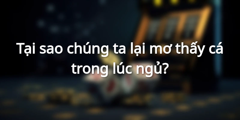 Cá là con vật thường hay xuất hiện trong giấc mơ