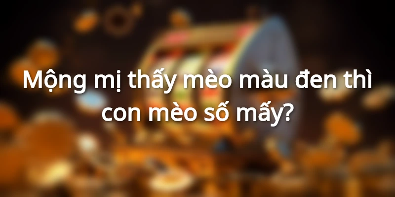 33 và 38 là câu trả lời cho thắc mắc mơ con mèo số mấy khi nó màu đen