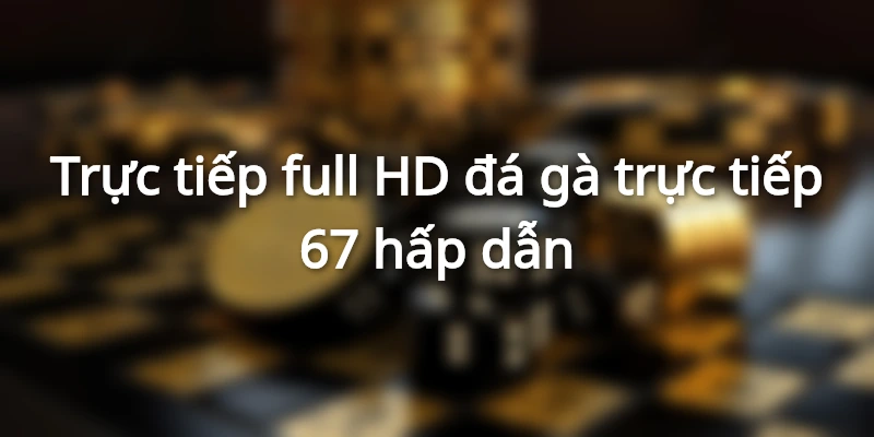 Trang đá gà trực tiếp 67 cung cấp trận đấu cực nét, sống động