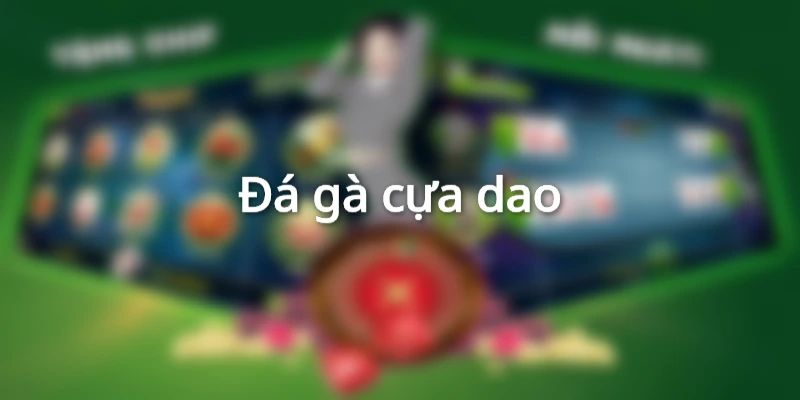 Các hình thức chọi phổ biến