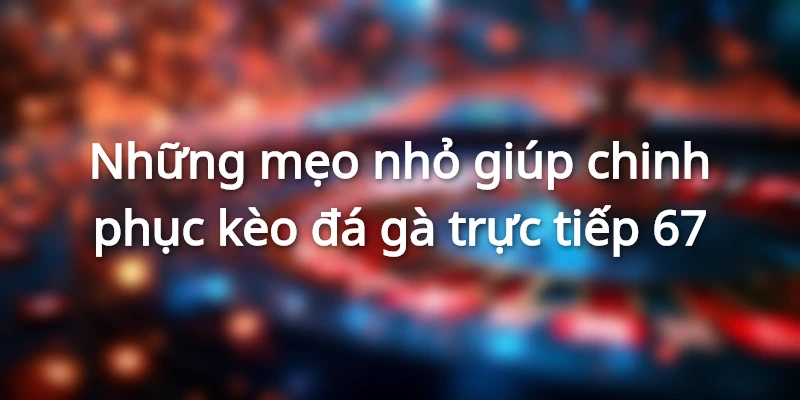 Mẹo bắt kèo đá gà online