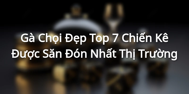 Gà Chọi Đẹp - Top 7 Chiến Kê Được Săn Đón Nhất Thị Trường