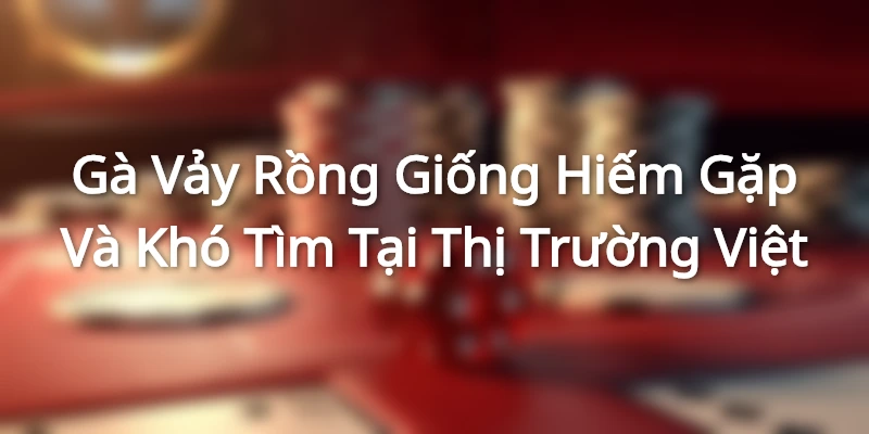 Gà Vảy Rồng - Giống Hiếm Gặp Và Khó Tìm Tại Thị Trường Việt