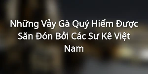Những Vảy Gà Quý Hiếm Được Săn Đón Bởi Các Sư Kê Việt Nam