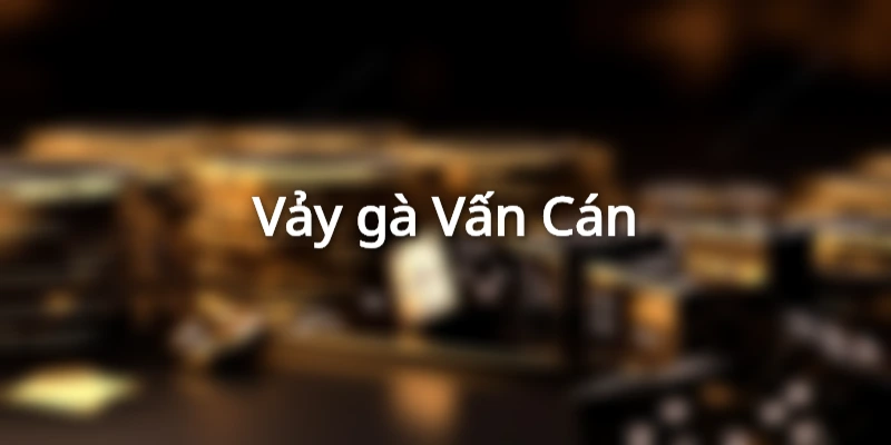 Vấn Cán là một trong những vảy gà quý hiếm nhất hiện tại