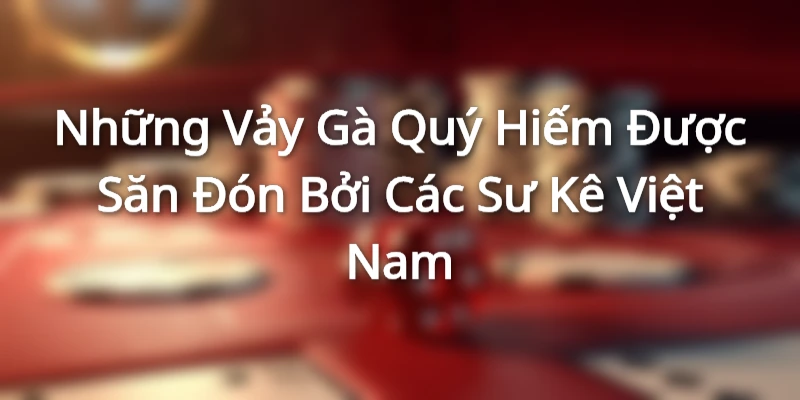 Những Vảy Gà Quý Hiếm Được Săn Đón Bởi Các Sư Kê Việt Nam