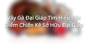 Vảy Gà Đại Giáp - Tìm Hiểu Đặc Điểm Chiến Kê Sở Hữu Đại Giáp