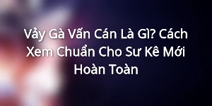 Vảy Gà Vấn Cán Là Gì? Cách Xem Chuẩn Cho Sư Kê Mới Hoàn Toàn