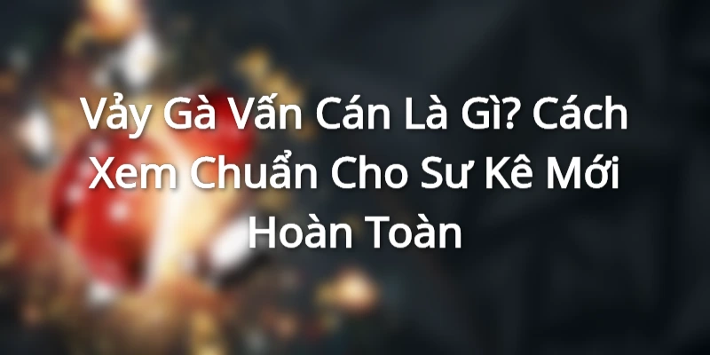 Vảy Gà Vấn Cán Là Gì? Cách Xem Chuẩn Cho Sư Kê Mới Hoàn Toàn